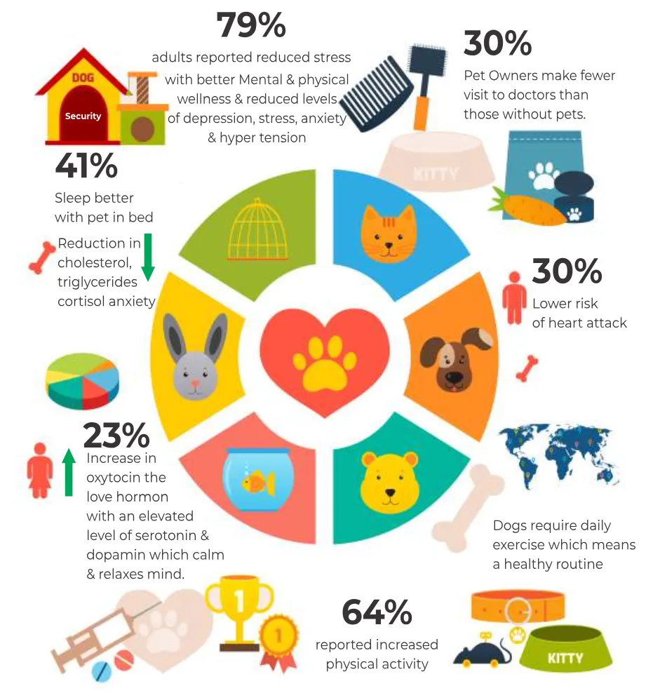 Health Benefits of having a Dog