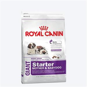 Royal Canin Giant Breed Starter Puppy Food