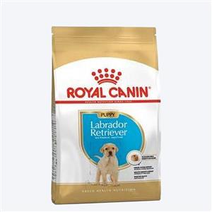 Royal Canin Golden Retriever Junior Dry Puppy Food