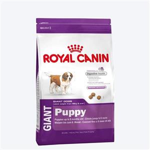 Royal Canin Giant Breed Dry Puppy Food